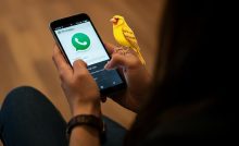 cos'è la modalità canarino su whatsapp?